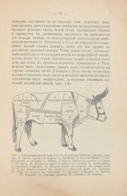 Придорогин М.И. Экстерьер сельскохозяйственных животных. 4-е изд. [М.]: Кн-во студентов МС.-Х.И., 1919.